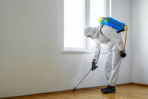 Best Flea Control Services  in Phoenix, IL