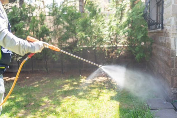 Professional Pest Control in Phoenix, IL